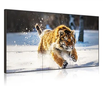 Senke leiddi kynning á vídeóvegg